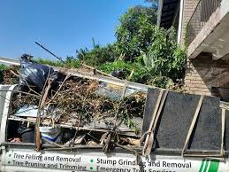 Best Moving and Downsizing Cleanouts  in Shaw Heights, CO