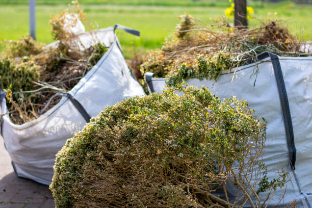 Best Hoarding Cleanup  in Shaw Heights, CO