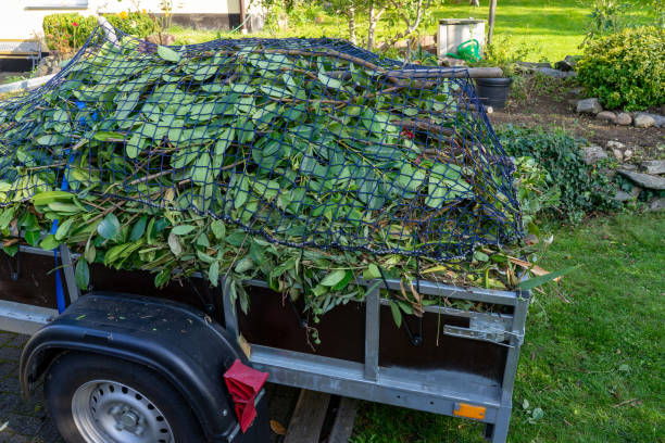 Best Retail Junk Removal  in Shaw Heights, CO